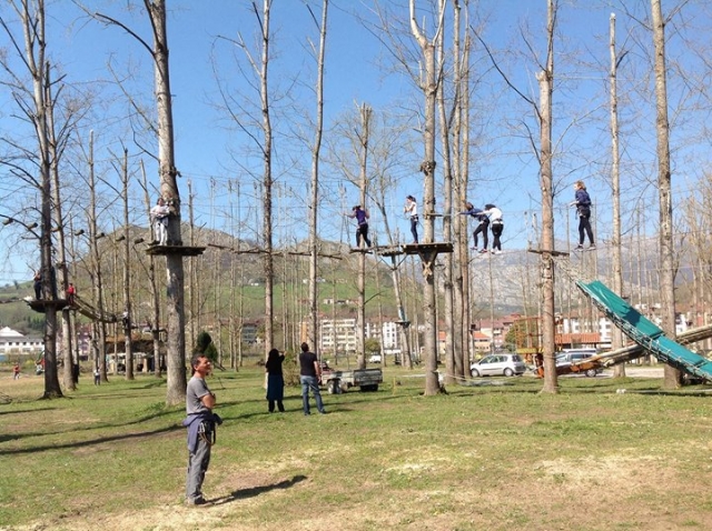 Parco alberato 